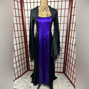 Vintage Lip Service Purple Black Velvet Gothic Renaissance Vampy Maxi Dress